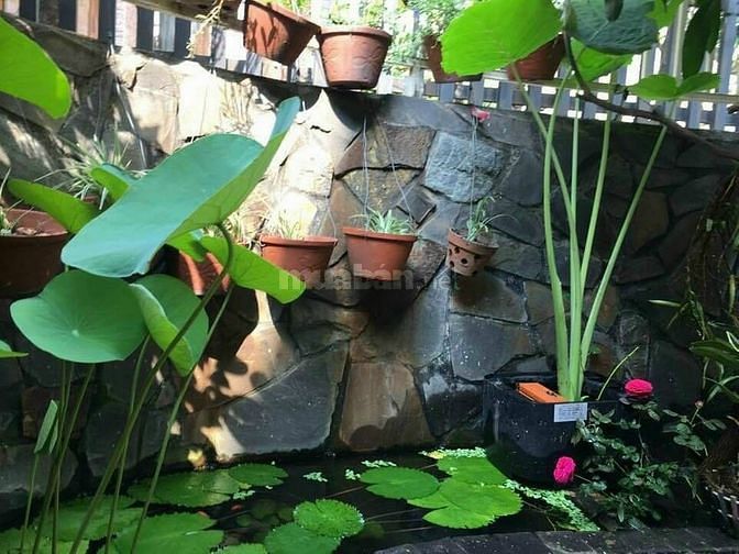 Cần người dọn dẹp nấu ăn có kinh nghiệm càng tốt 62067219 Cần người dọn dẹp nấu ăn có kinh nghiệm càng tốt