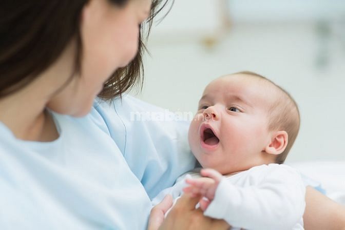 Cần tìm 1 người giúp việc nhà 1 người chăm em bé 1 chăm sóc người già 60482535 Cần tìm 1 người giúp việc nhà 1 người chăm em bé 1 chăm sóc người già