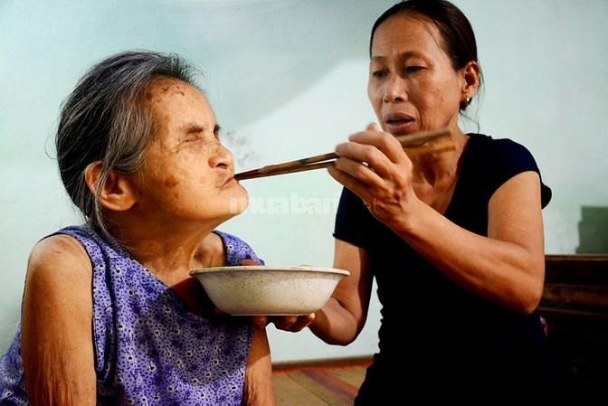Gia đình tôi đang muốn thuê người chăm sóc người già tại nhà bao ăn ở
