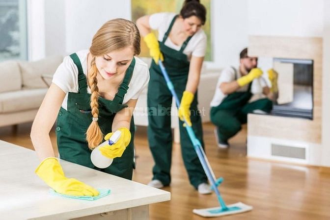 Tìm gấp 1 người giúp việc nhà.