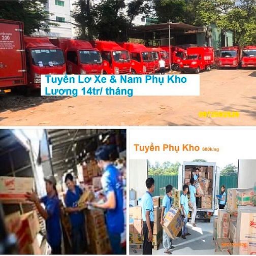 VŨNG TÀU : Cần gấp Nam Phụ Kho + Lơ Phụ Xe Bao Ăn Ở và Lái Xe 61327902 VŨNG TÀU : Cần gấp Nam Phụ Kho + Lơ Phụ Xe Bao Ăn Ở và Lái Xe