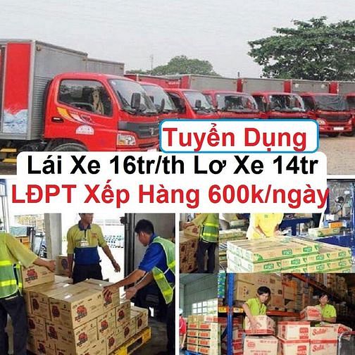 Vũng Tàu : tuyển nhân sự Lơ Xe + Phụ Kho Bốc Xếp + Tài Xế