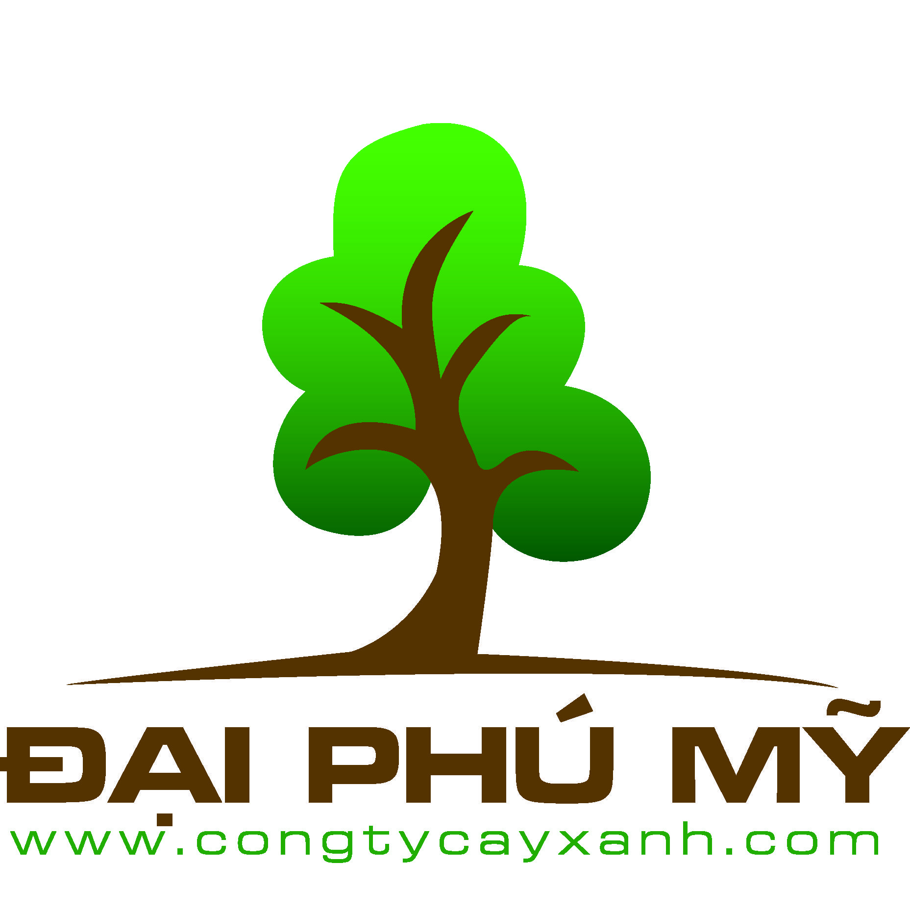 cong-ty-co-phan-dai-phu-my