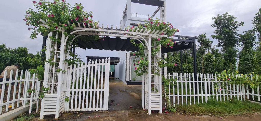 Tuyen Nhan Vien Kinh Doanh Mai Hieu